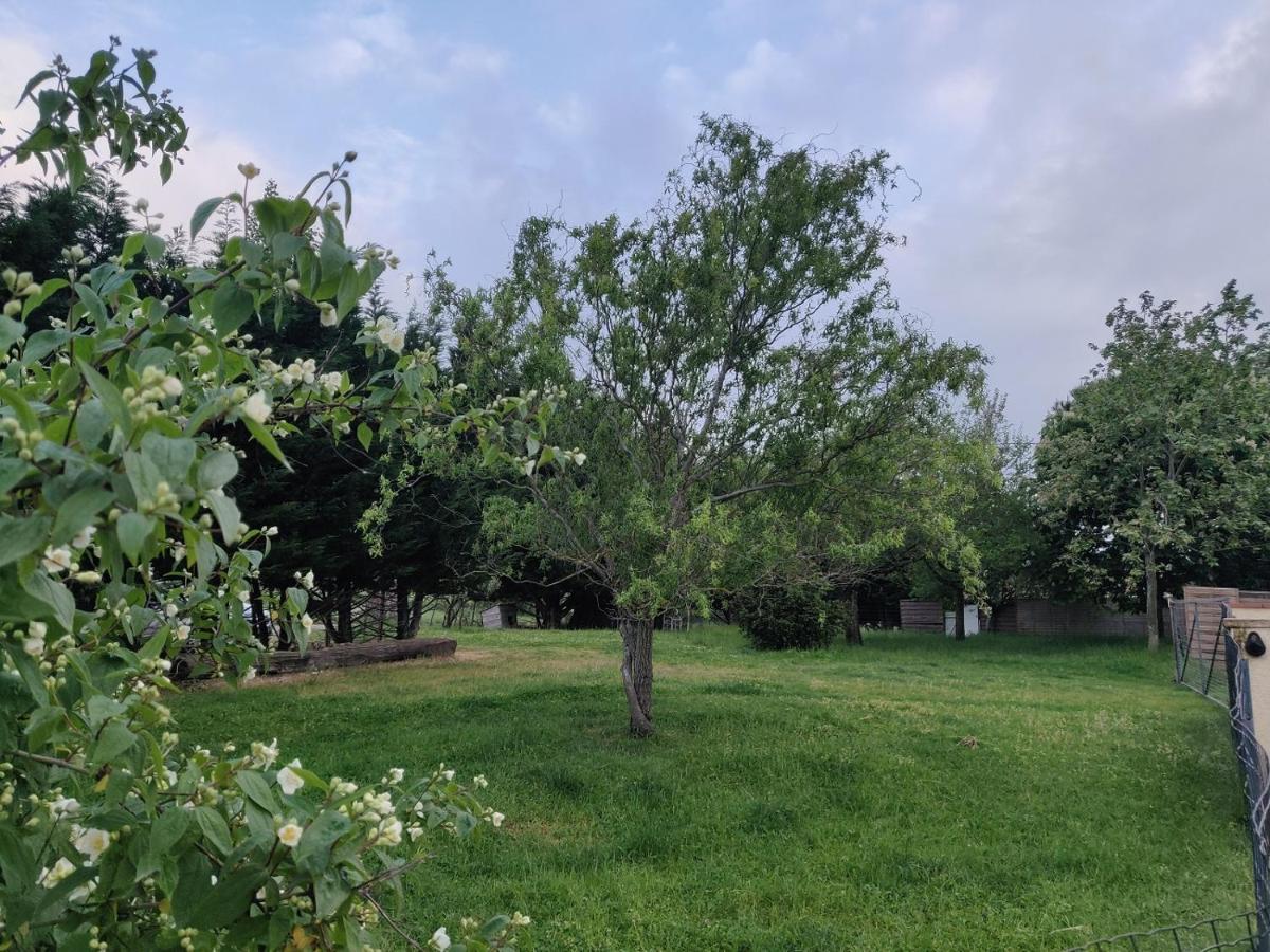Le Gite Nature Bien-Etre Piscine Chauffee Privee Du Tarn Entre Toulouse Et Albi & Les Cottages Du Tarn Peyrole المظهر الخارجي الصورة