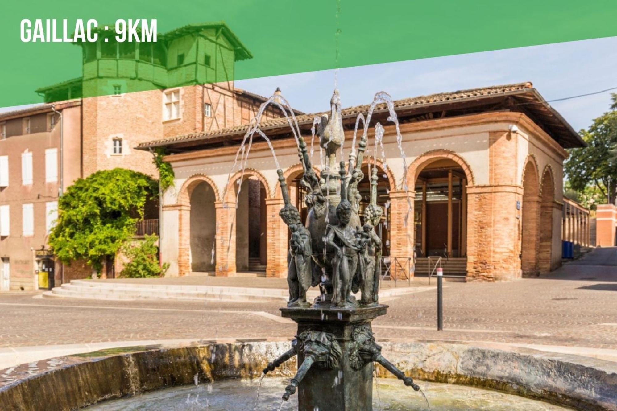 Le Gite Nature Bien-Etre Piscine Chauffee Privee Du Tarn Entre Toulouse Et Albi & Les Cottages Du Tarn Peyrole المظهر الخارجي الصورة