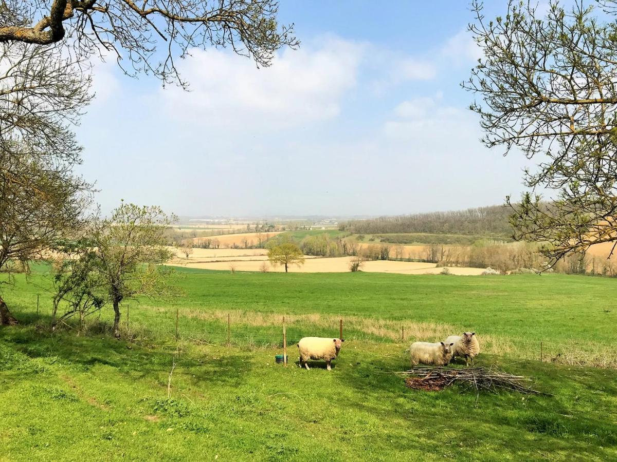 Le Gite Nature Bien-Etre Piscine Chauffee Privee Du Tarn Entre Toulouse Et Albi & Les Cottages Du Tarn Peyrole المظهر الخارجي الصورة