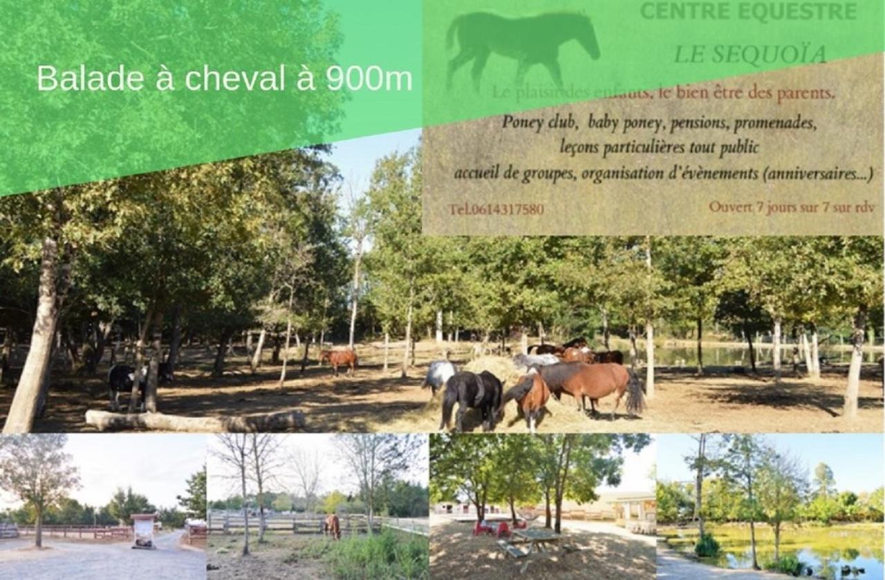 Le Gite Nature Bien-Etre Piscine Chauffee Privee Du Tarn Entre Toulouse Et Albi & Les Cottages Du Tarn Peyrole المظهر الخارجي الصورة